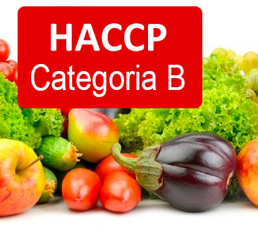 Corso HACCP Categoria B